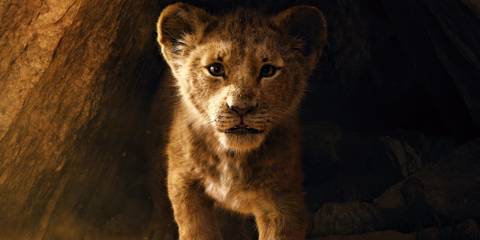 Simba in The Lion King (2019)