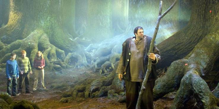 HAGRID EL JUGADOR DE RUGBY HAGRID EL JUGADOR DE RUGBY