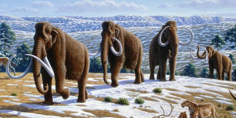 Scientists Are Going To Bring The Woolly Mammoth Back To Life