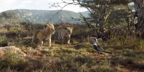 Zazu speaks to young Nala and Simba in The Lion King (2019)