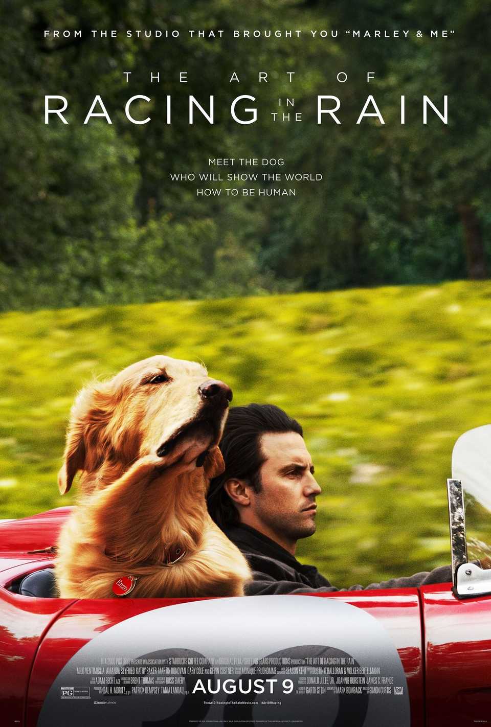 The 25 Saddest Dog Movies Of All Time (For When You Need A Good Cry)