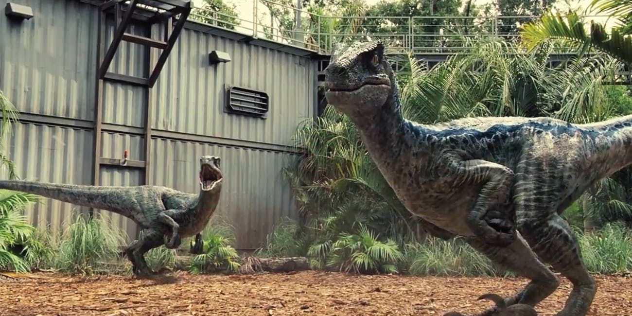 Explicación de lo que sucede con el paquete Velociraptor de Blue en las películas de Jurassic World