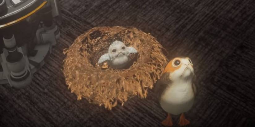 Star Wars: 10 Other Porg Appearances Everyone Missed