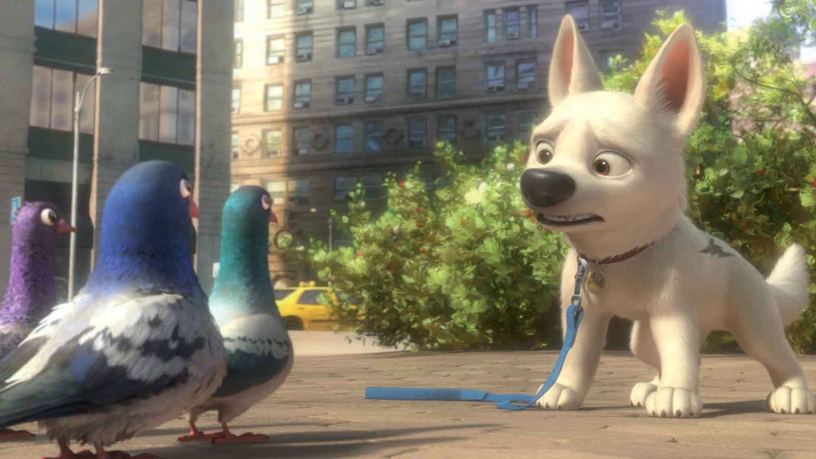 10 Cutest Animal Movies To Watch On Netflix If You Loved The Secret ...