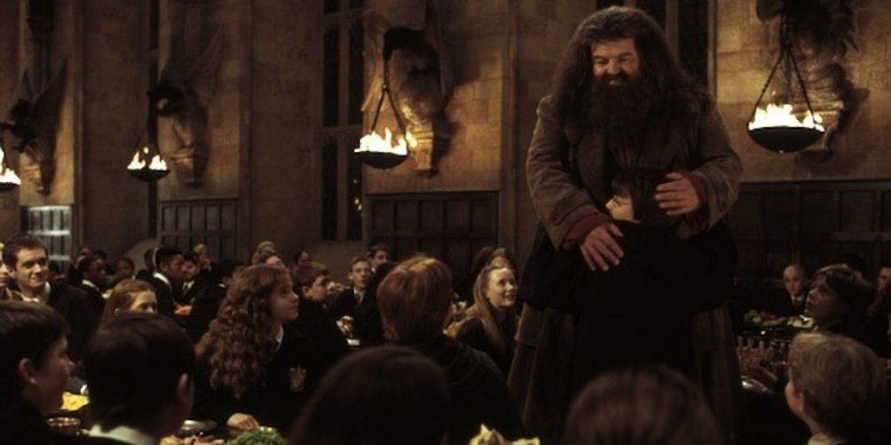 Harry Potter 10 Things Harrys Friends Have In Common With His Dads Friends
