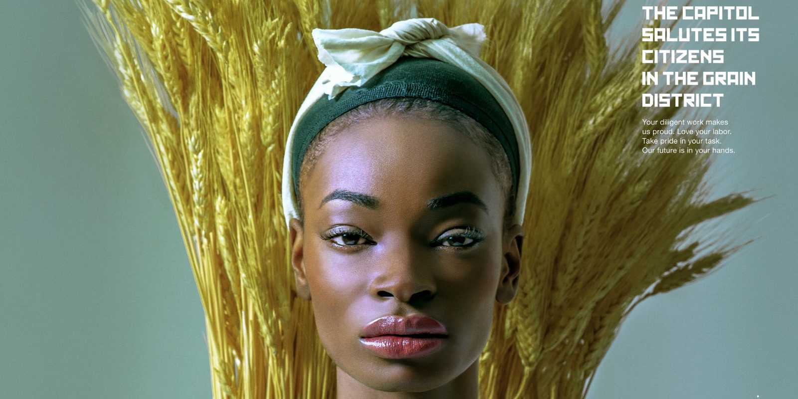 The Hunger Games District 9 poster cropped depicts a woman in front of wheat.