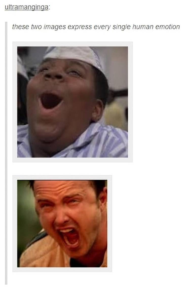 Breaking Bad: 10 Hilarious Jesse Pinkman Screaming Memes