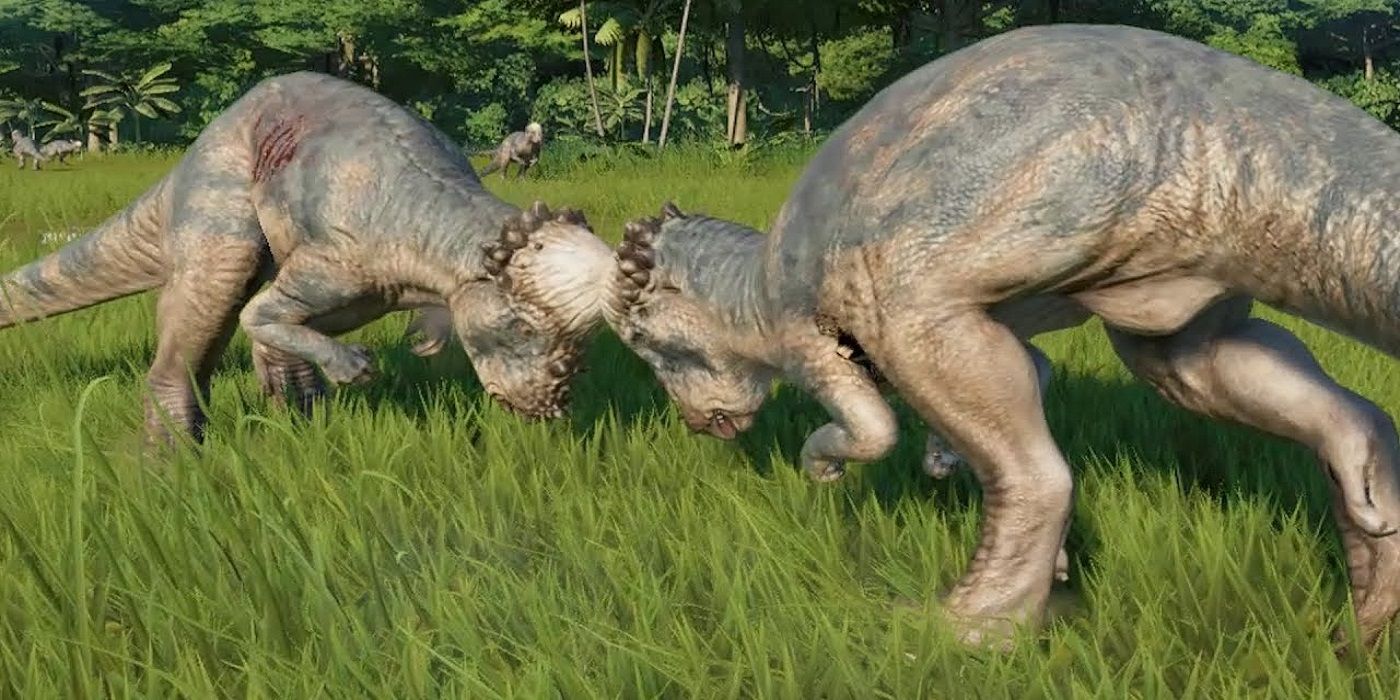 4. Les dinosaures de l'île Pachycephalosaurus