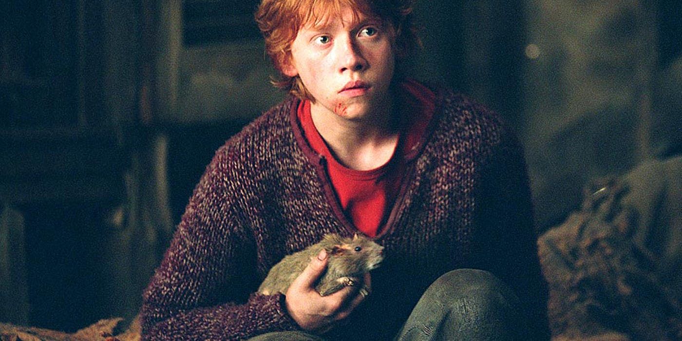 Harry Potter 10 Unpopular Opinions About Ron (According To Reddit)
