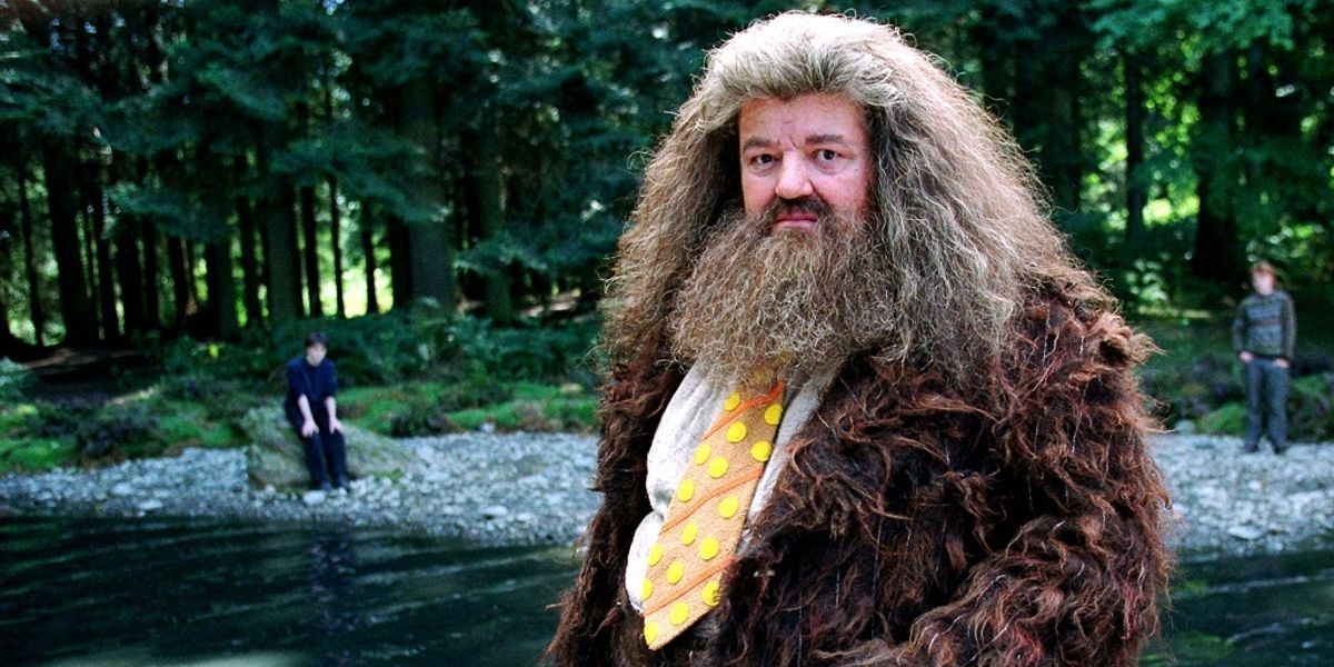 Rubeus Hagrid from Harry Potter and the Prisoner of Azkaban