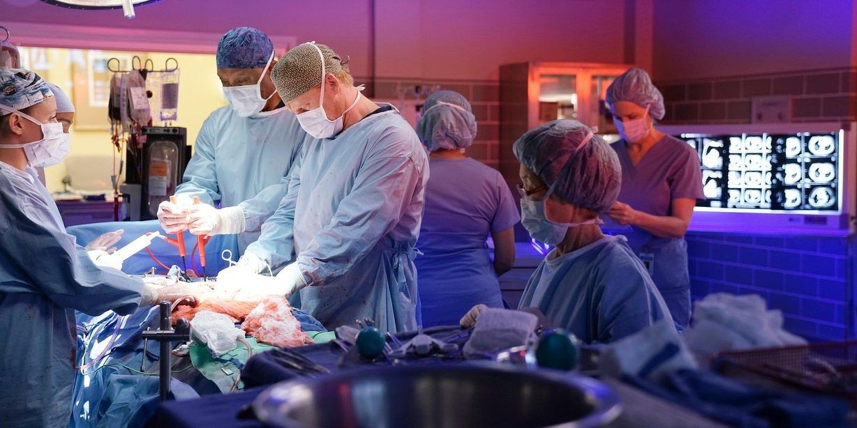 The 5 Best (& 5 Worst) Episodes Of Greys Anatomy Season 13