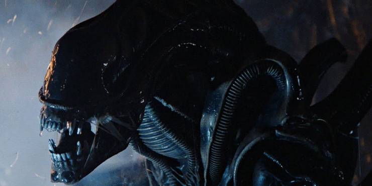 Alien 5 Reasons Why Neomorphs Are Deadlier Than Xenomorphs 5