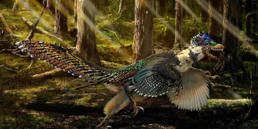 15 Things Jurassic Park Gets Completely Wrong About Dinosaurs