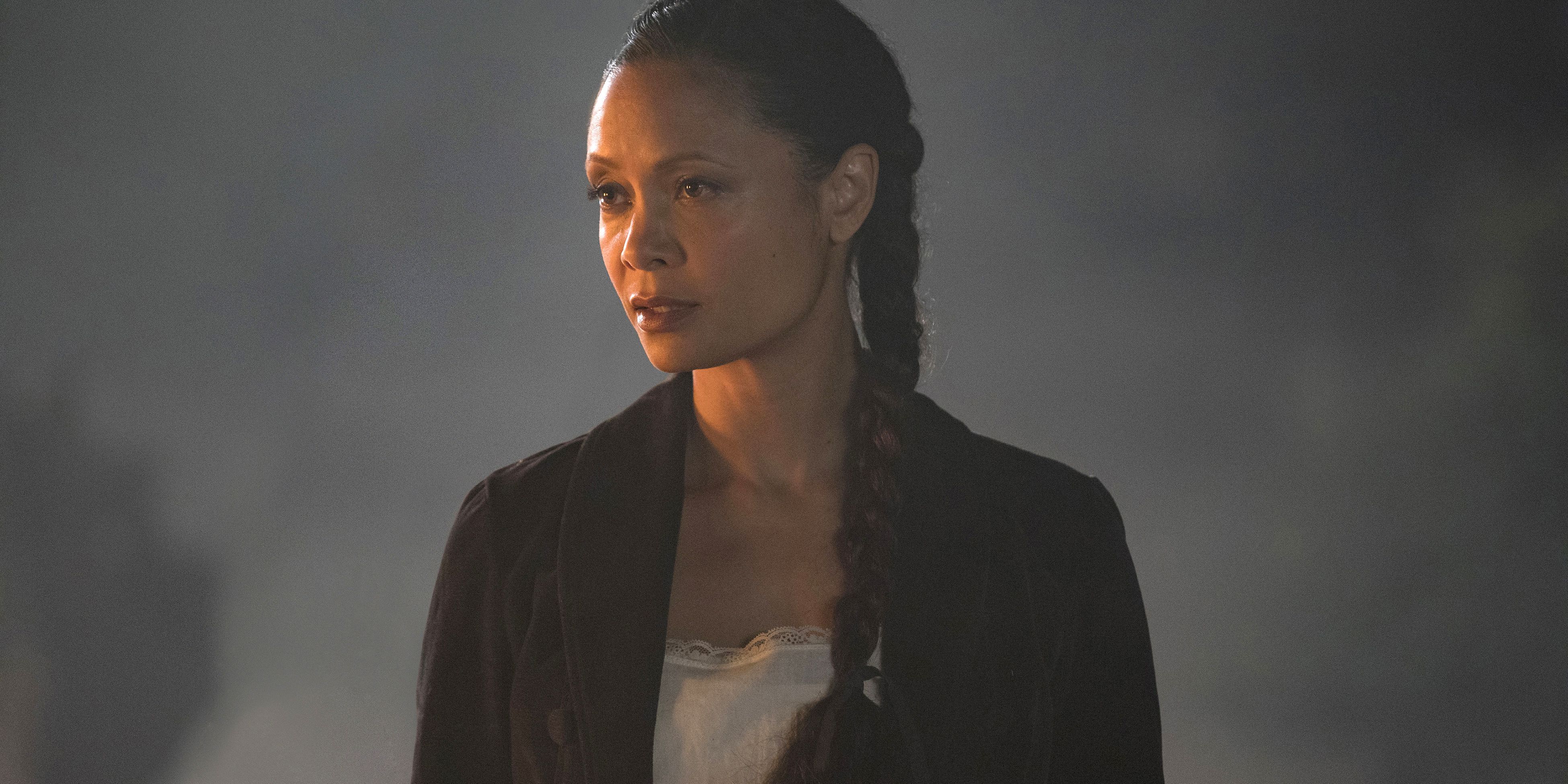 Westworld 5 Characters Who Were Criminally Underused (& 5 Who Overstayed Their Welcome)