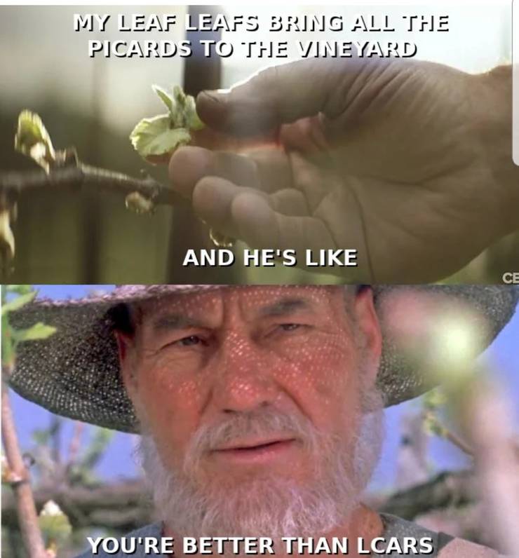 Star Trek 10 Hilarious Picard Memes To Get You Ready For His Solo