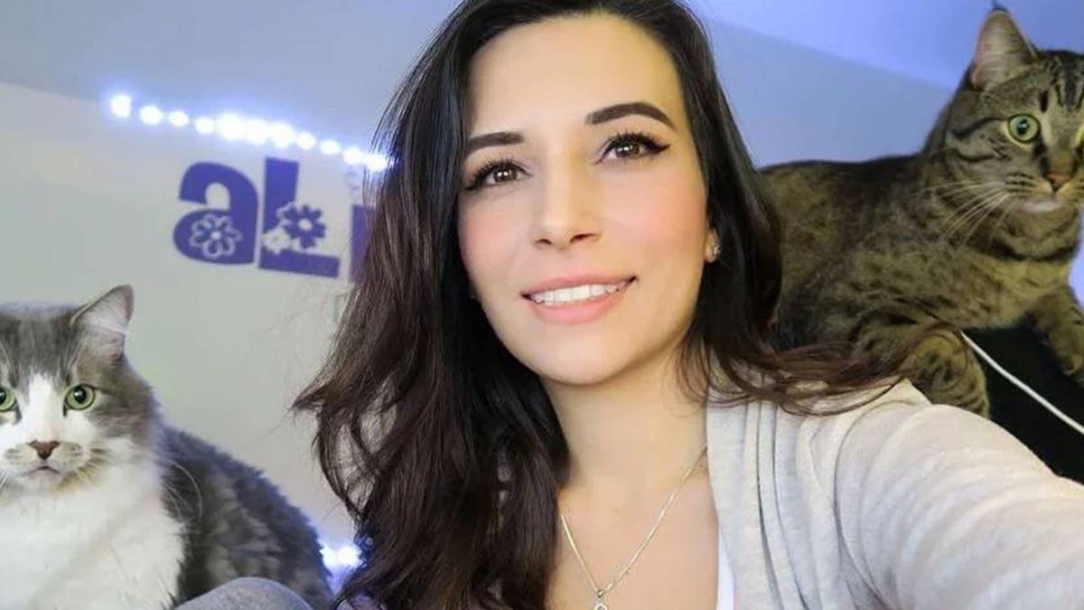 Twitch Streamer Apologizes for Throwing Cat