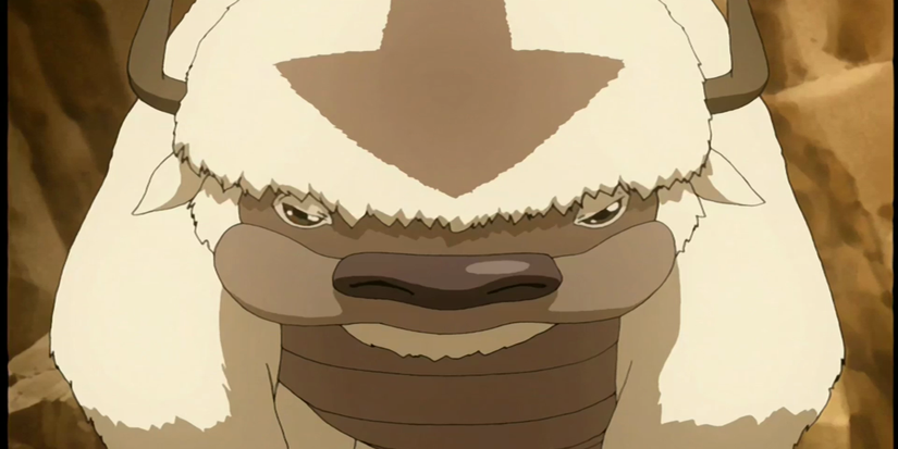 Avatar: 10 Things Every Fan Should Know About Appa