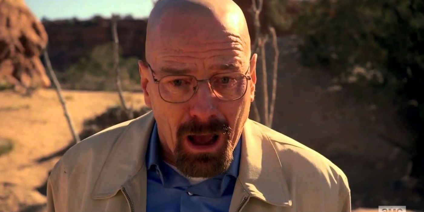 Breaking Bad RealLife Relationship Status Age Height & Zodiac Signs Of The Main Cast