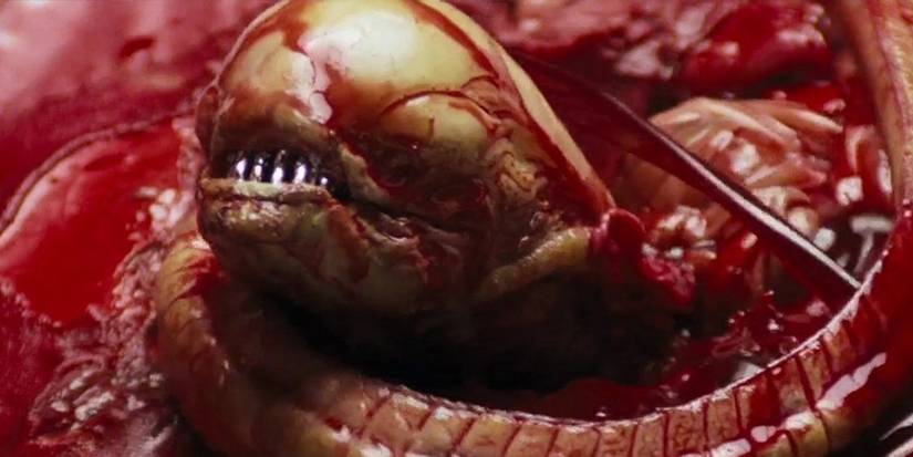 Alien: 14 Facts You Didn’t Know About The Xenomorph
