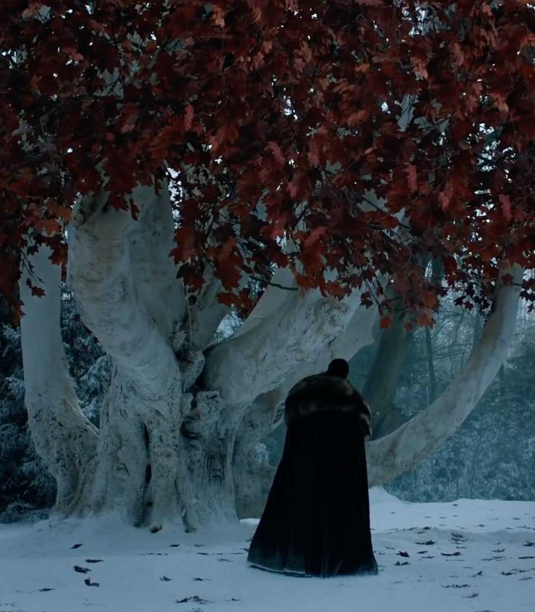 Game of Thrones weirwood vertical