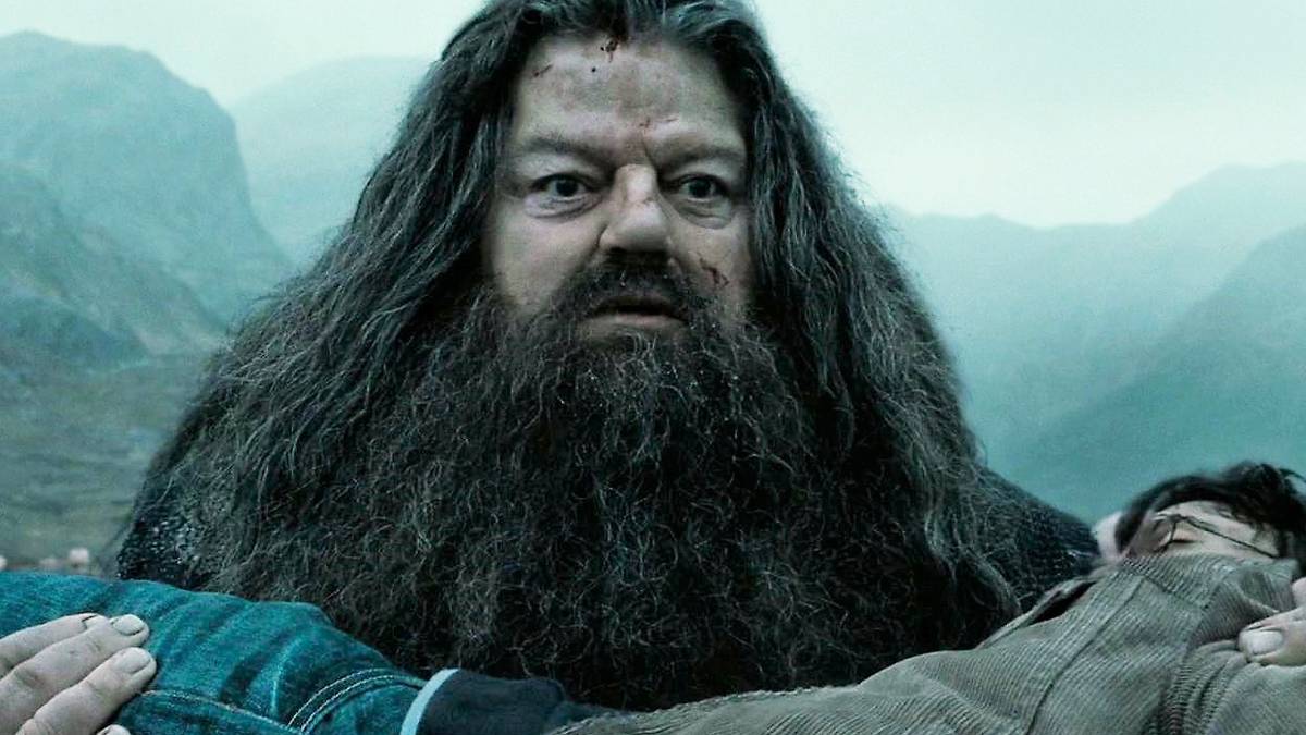 Harry Potter Hadrick