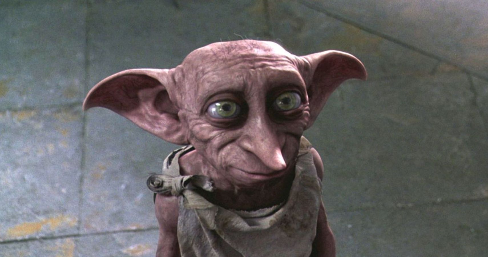 dobby set free