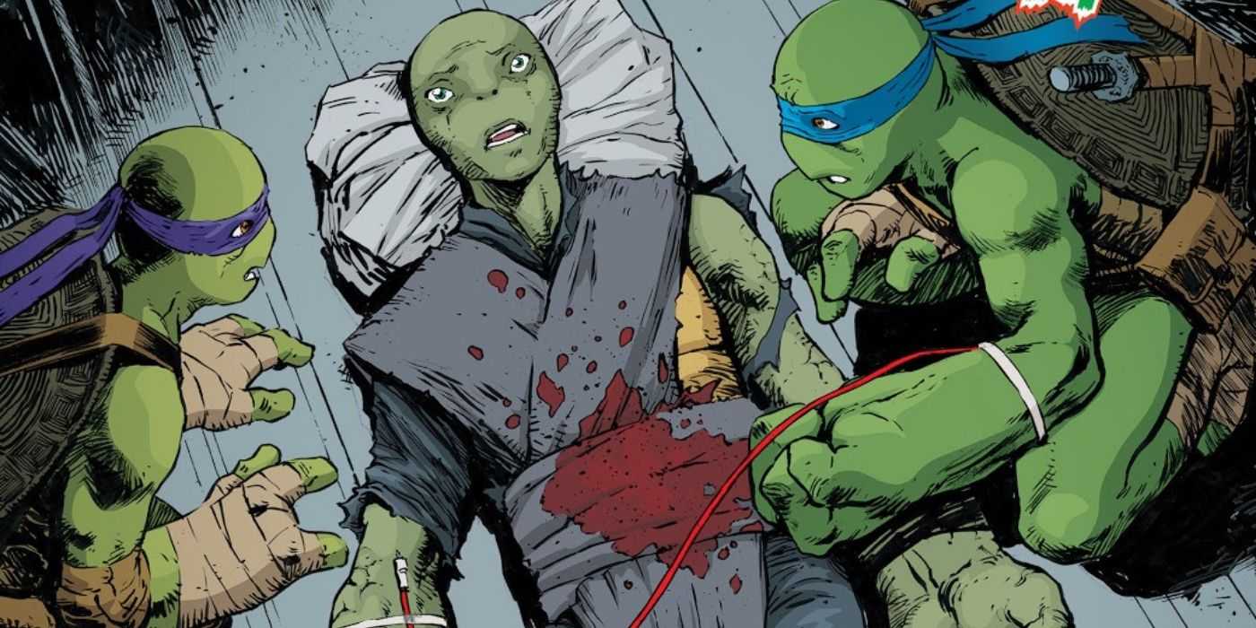 Code Name Turtle TMNT Gives 1 Sibling a New Design & Codename (& It's a Direct Insult to ...