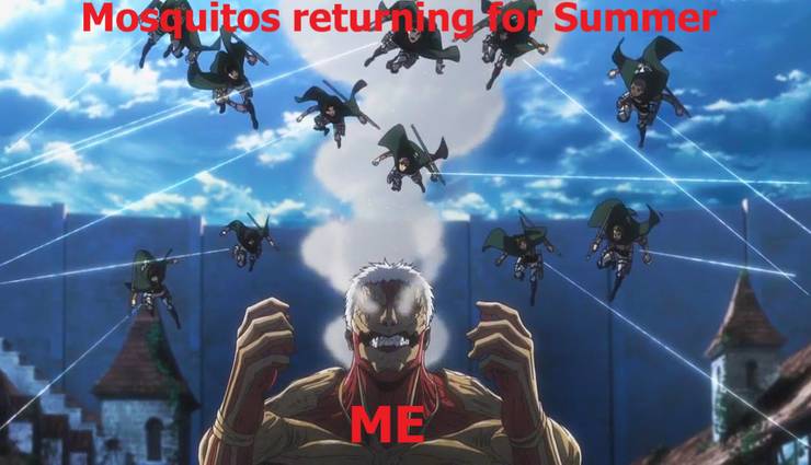 10 Hilarious Attack On Titan Memes Only True Fans Will Love 10 hilarious attack on titan memes only