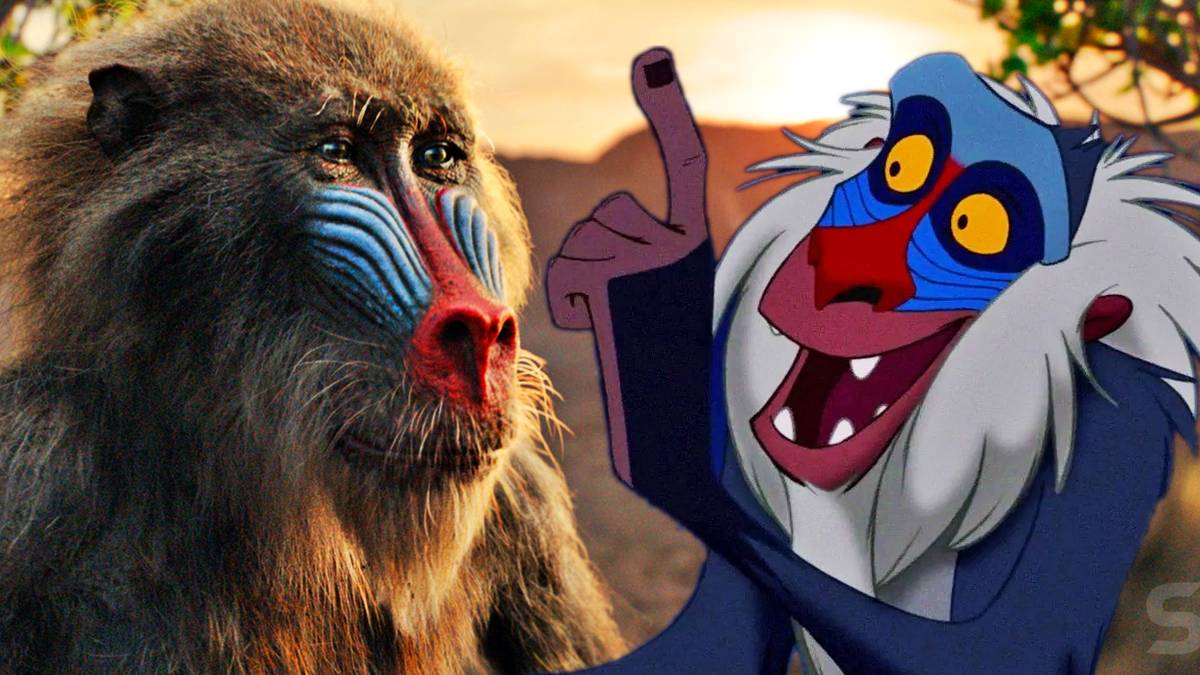 Refeiki What Is Rafiki Role In The Lion King
