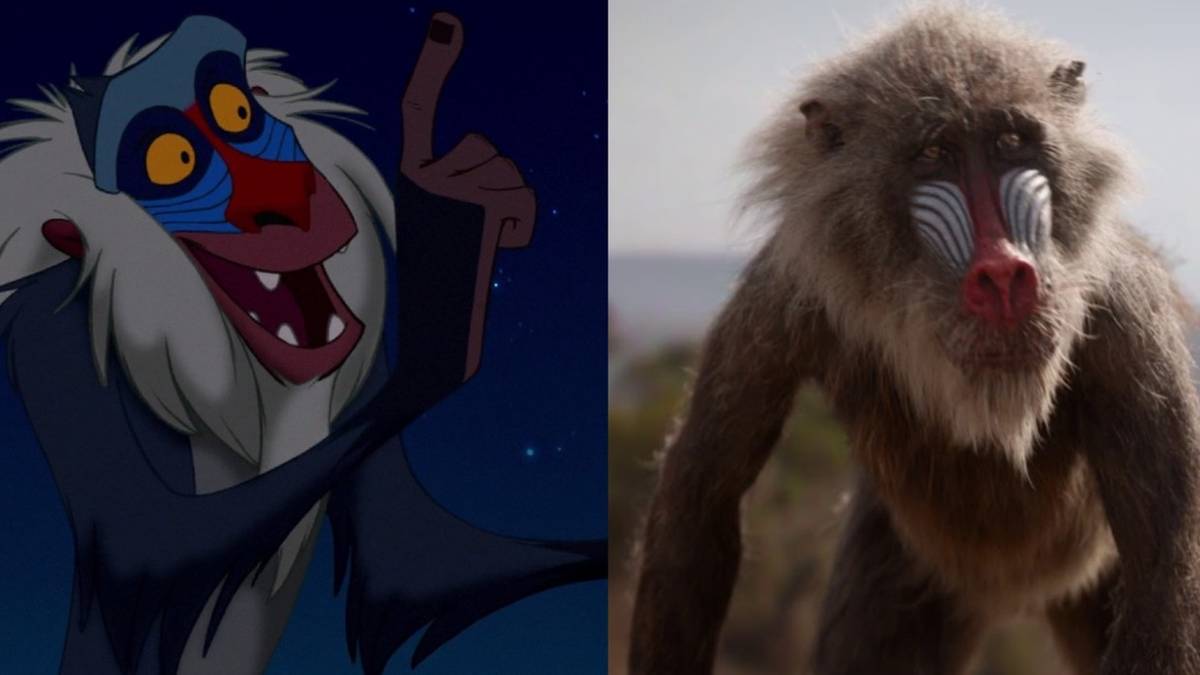 Lessons By Rafiki 10 Things You Didn't Know About Rafiki From The Lion King