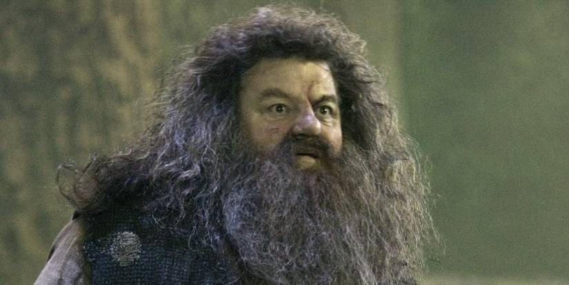 Harry Potter: 10 Most Loyal Characters, Ranked
