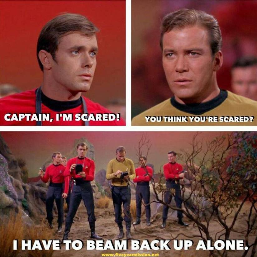 Star Trek Red Shirt Meme Pop Culture Red Shirts Funny Celebrity