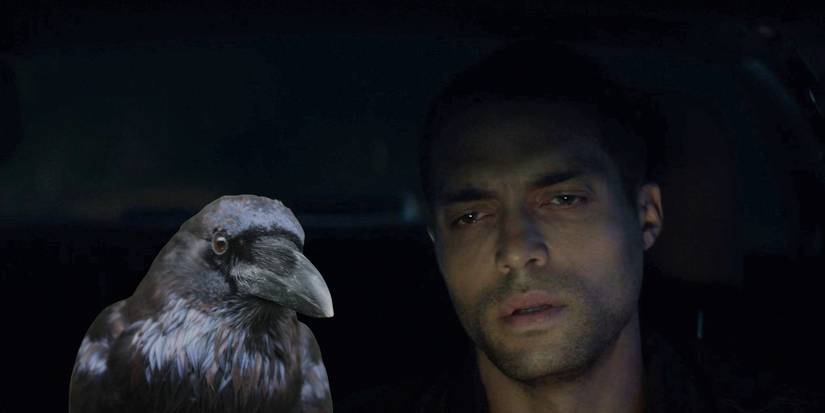 Who Voices The Sandman's Raven, Matthew