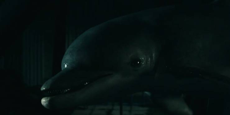 The Boys Dolphin Scene Love Meme