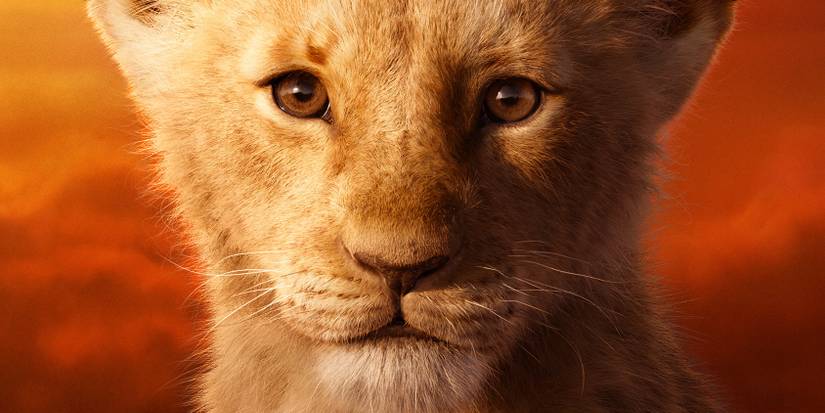 Lion King 2019's Simba vs Scar Fight Assessed For Realism By Cat Expert