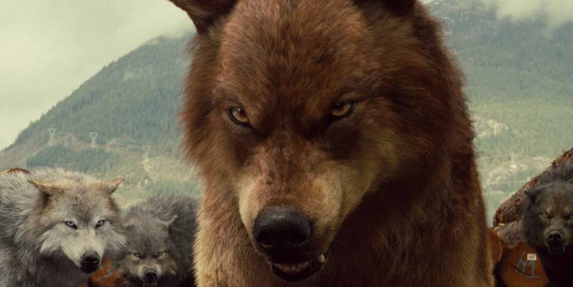 5 Things The Vampire Diaries Does Better Than Twilight (& 5 Twilight ...