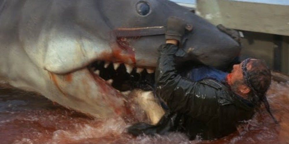 How To Watch Every Jaws Movie