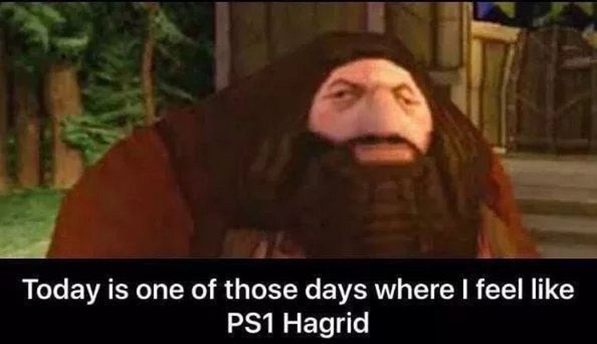 Harry Potter 10 Hilarious Hagrid Logic Memes That Are Too Funny