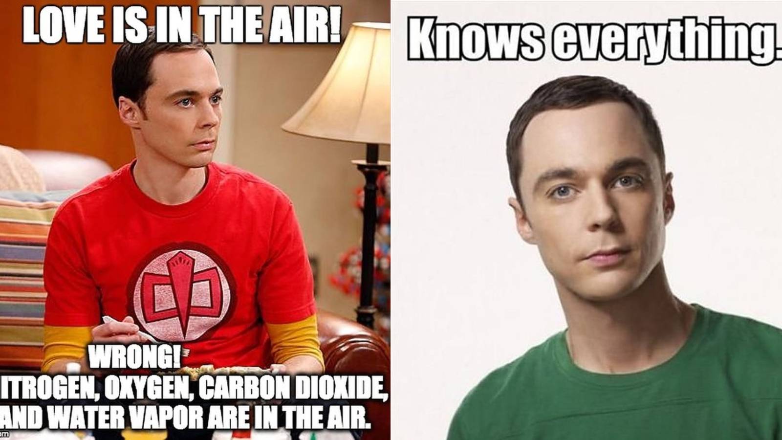 Beldon Memes Big Bang Theory: 10 Hilarious Sheldon Memes That Are Too Funny