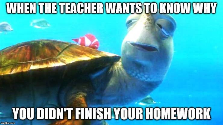 Why Can T Boys Like This Go To My School Ifunny Finding Dory