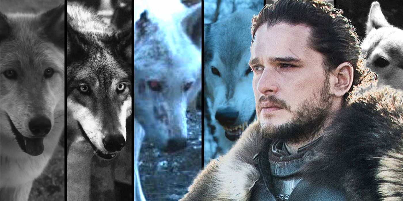 Game of Thrones Jon Snow Direwolves