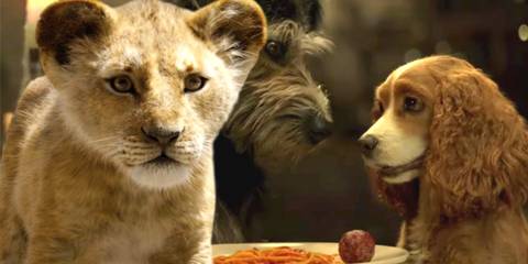 Lady and the Tramp The Lion King Disney Remakes 2019
