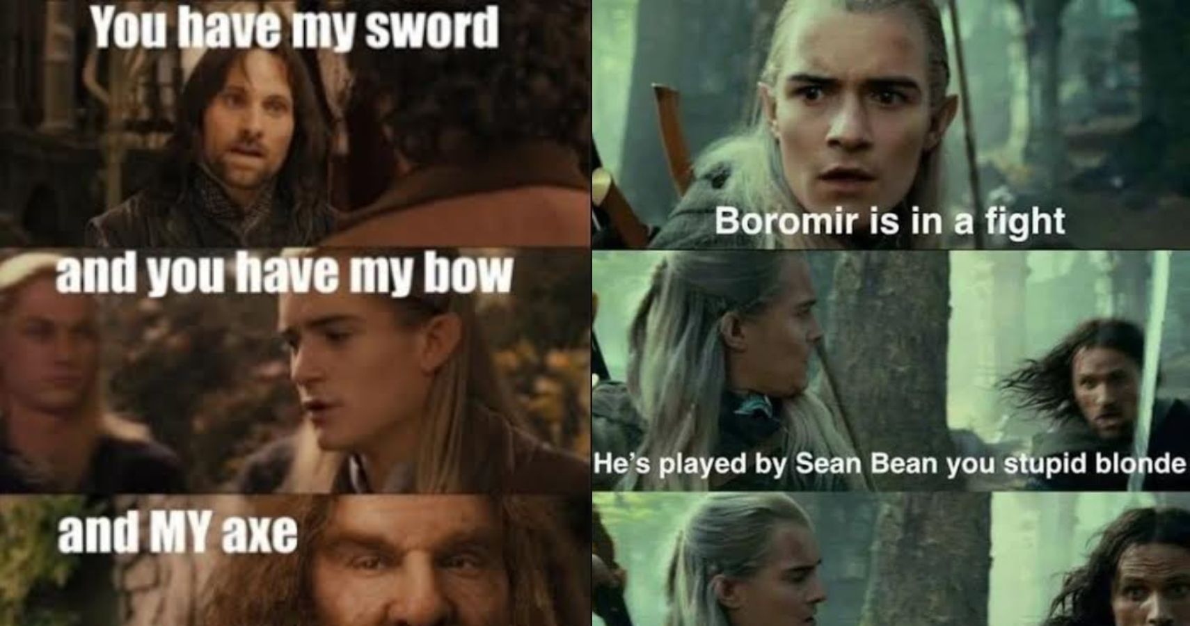 Lord-Of-The-Rings--10-Hilarious-Fellowship-Of-The-Ring-Logic-Memes-That-Are...