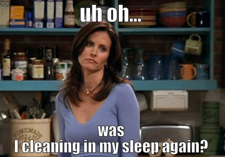 Friends 10 Monica Memes That Are Too Hilarious For Words