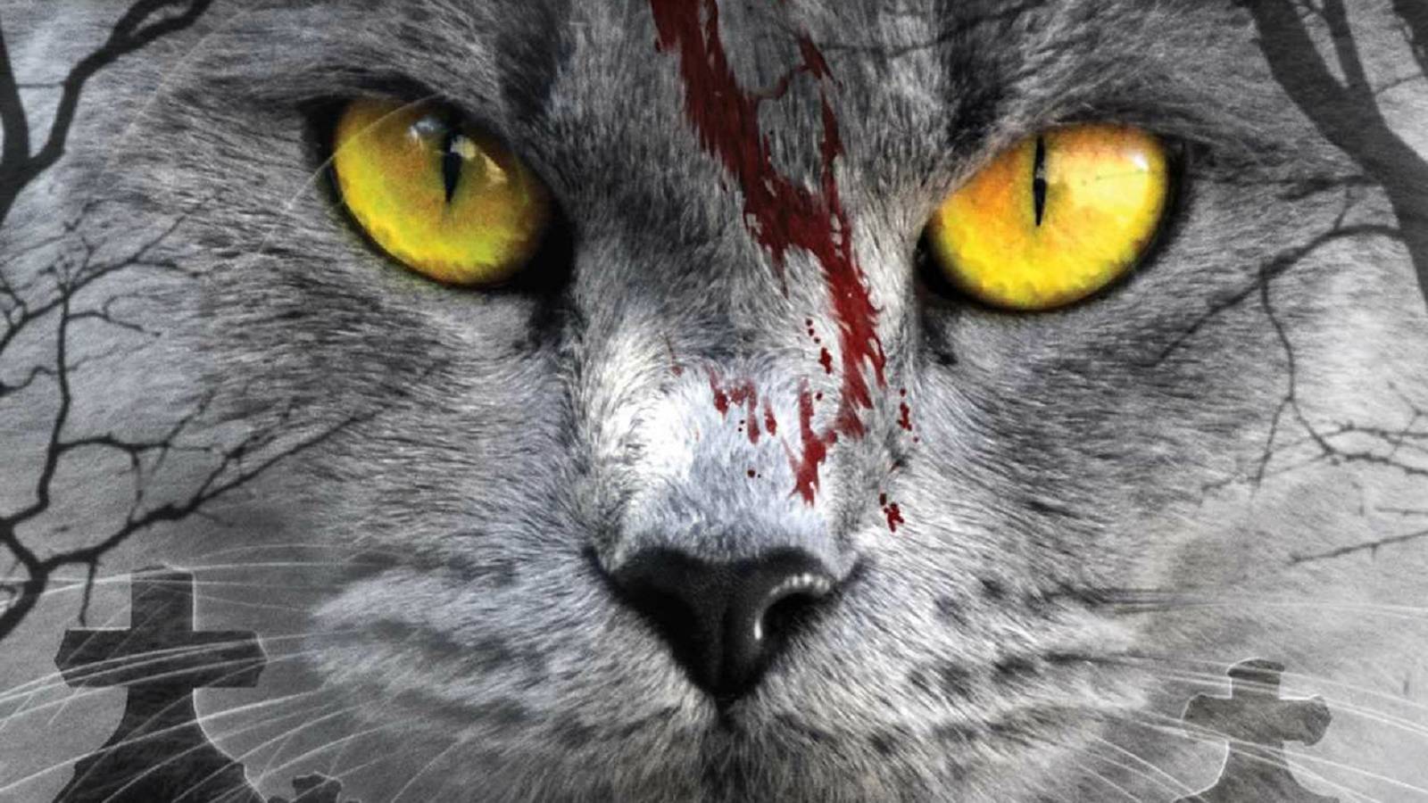 Pet Sematary: 10 Hidden Details Everyone Completely Missed