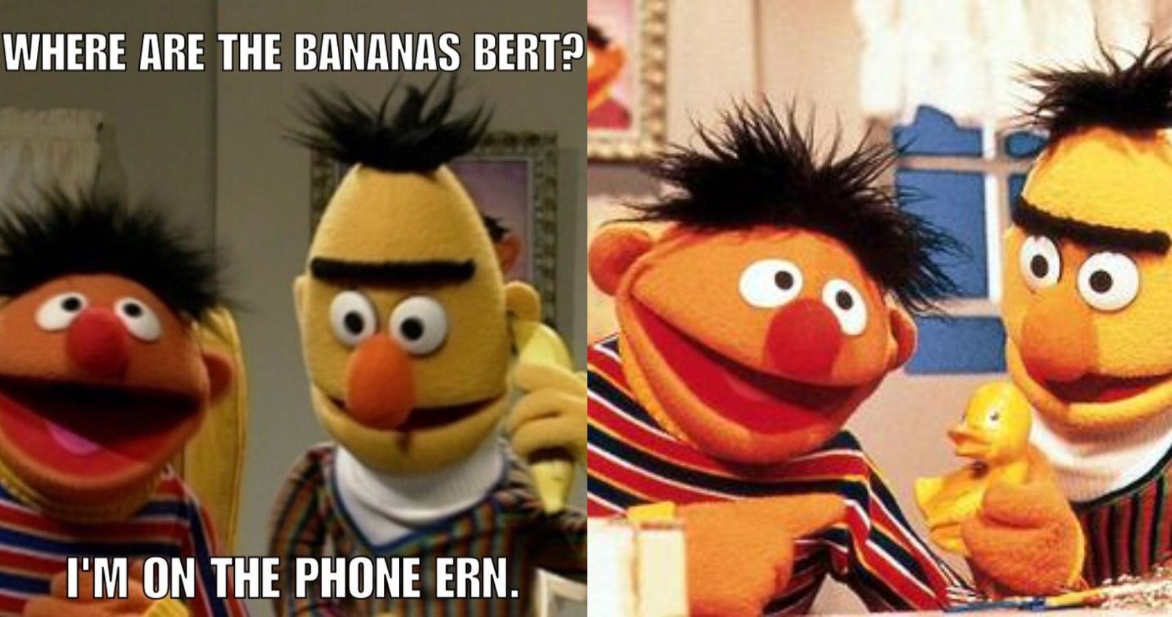 Sesame Street 10 Hilarious (& Adorable) Bert And Ernie Memes