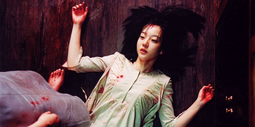 The fight scene in A Tale of Two Sisters