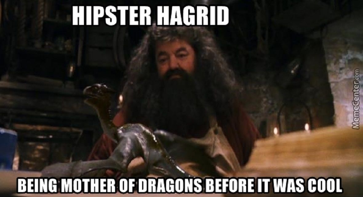 Harry Potter 10 Hilarious Hagrid Logic Memes That Are Too Funny