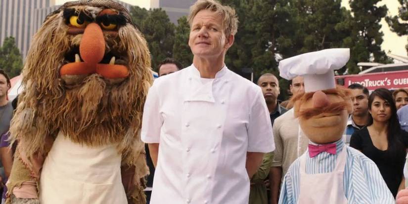 Muppets Sorted Into Their Hogwarts Houses