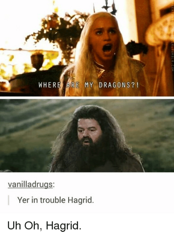 where are my dragons vanilladrugs yer in trouble hagrid uh 4099153